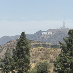 Meet your Posher, Raylee